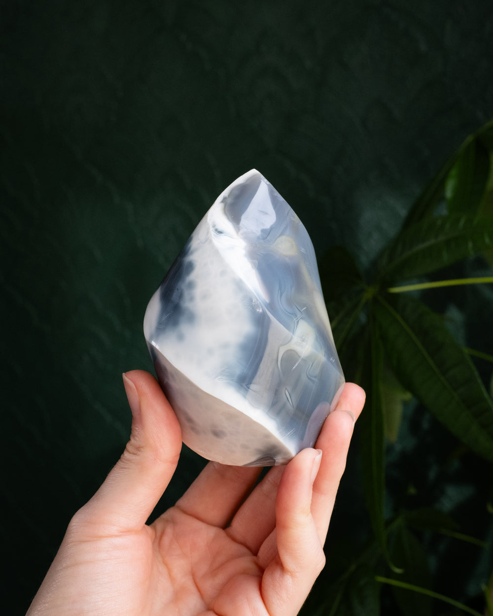 Orca Agate Carved Flame 375g - The Healing Pear