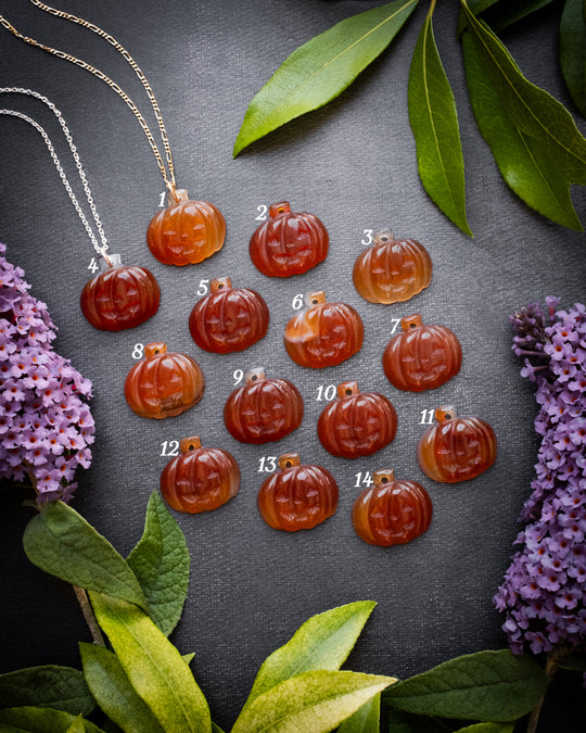 Carnelian Hand Carved Pumpkin Necklace