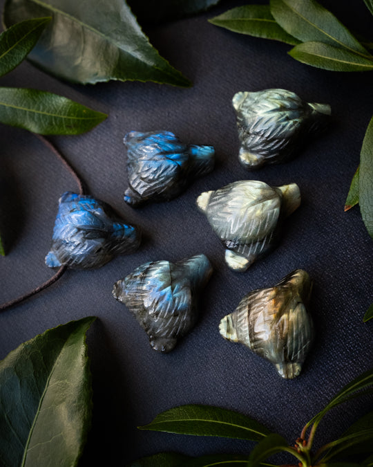 Labradorite Hand Carved Bear Necklace - The Healing Pear