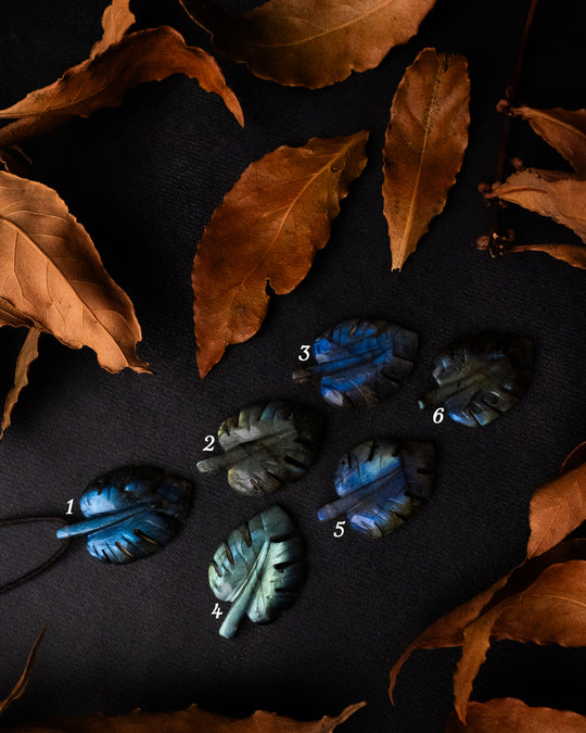 Labradorite Hand Carved Monstera / Cheese Plant Necklace