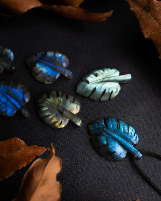 Labradorite Hand Carved Monstera / Cheese Plant Necklace