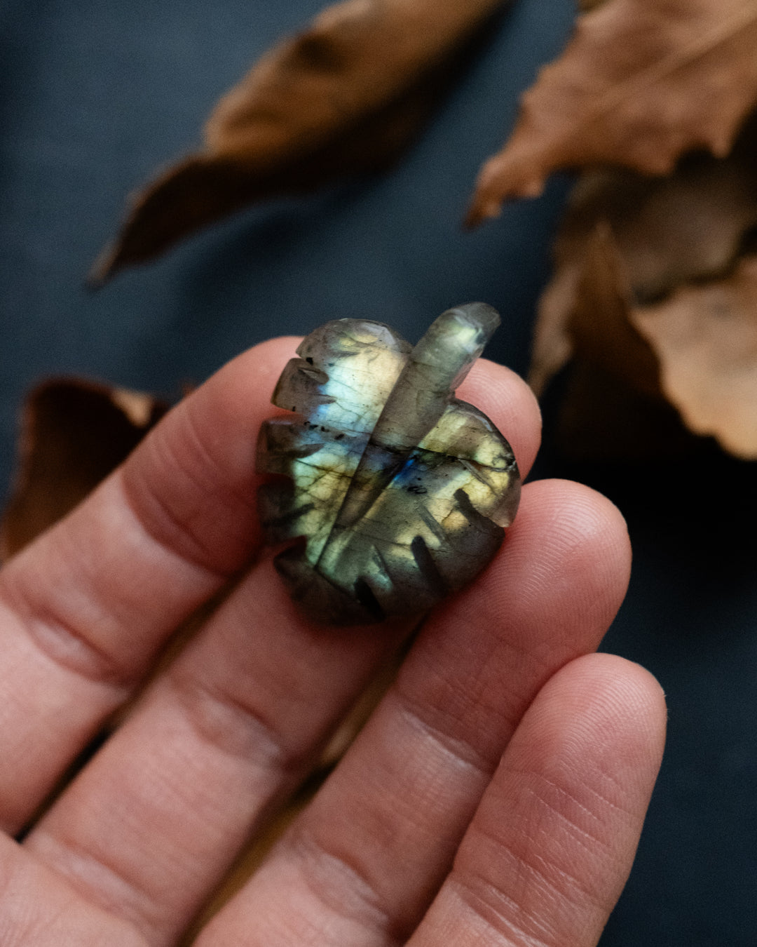 Labradorite Hand Carved Monstera / Cheese Plant Necklace