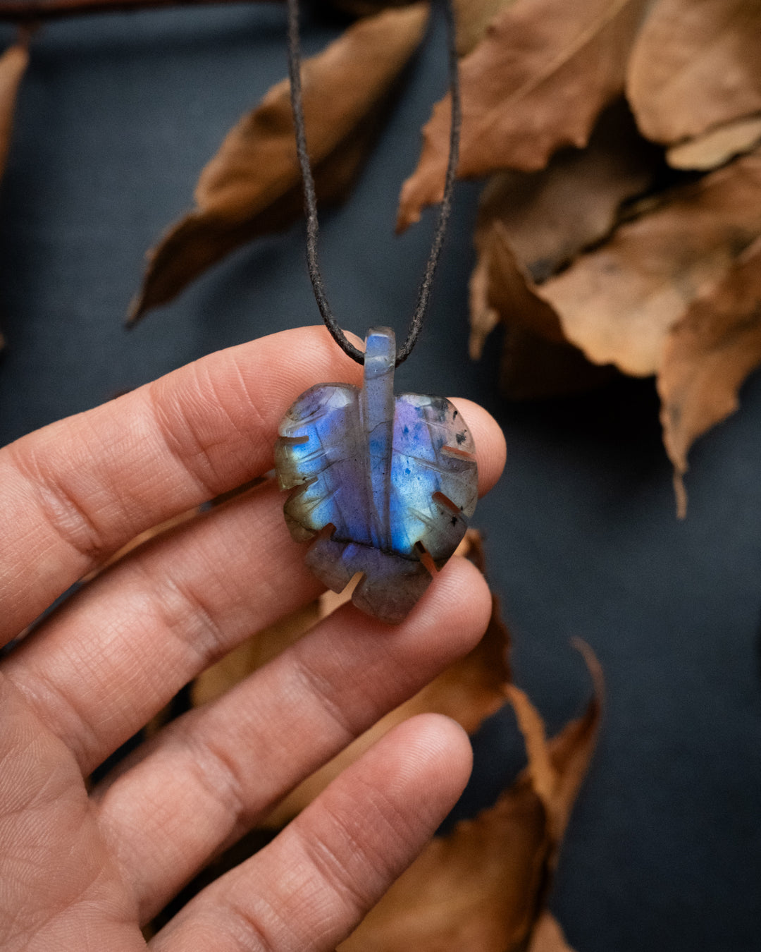 Labradorite Hand Carved Monstera / Cheese Plant Necklace