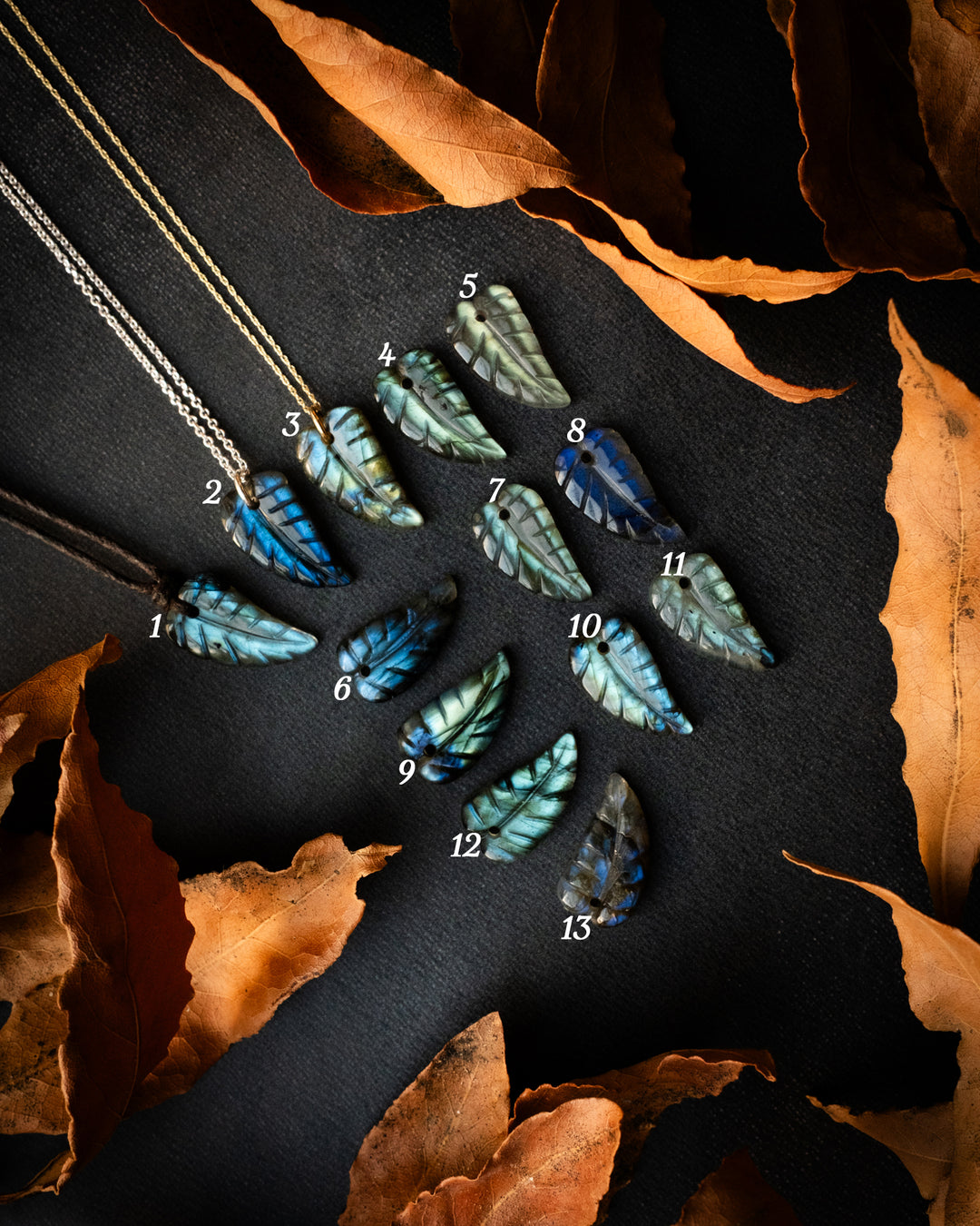 Labradorite Hand Carved Leaf Necklace