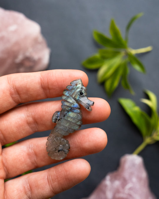 Labradorite Hand Carved Seahorse Necklace - The Healing Pear