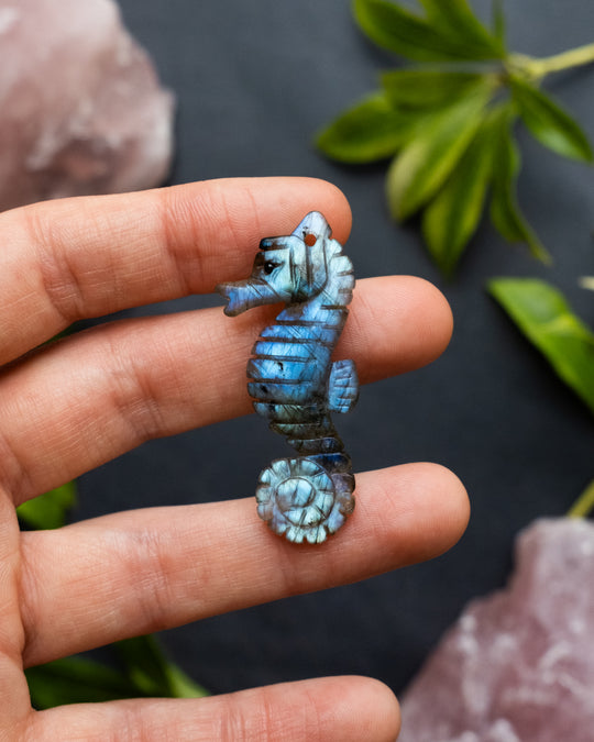 Labradorite Hand Carved Seahorse Necklace - The Healing Pear