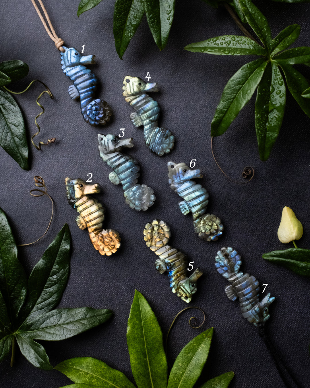 Labradorite Hand Carved Seahorse Necklace