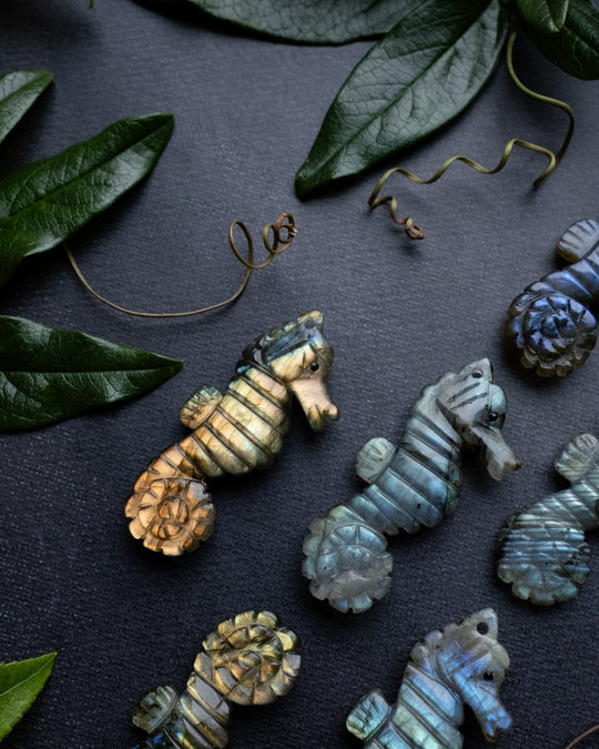 Labradorite Hand Carved Seahorse Necklace