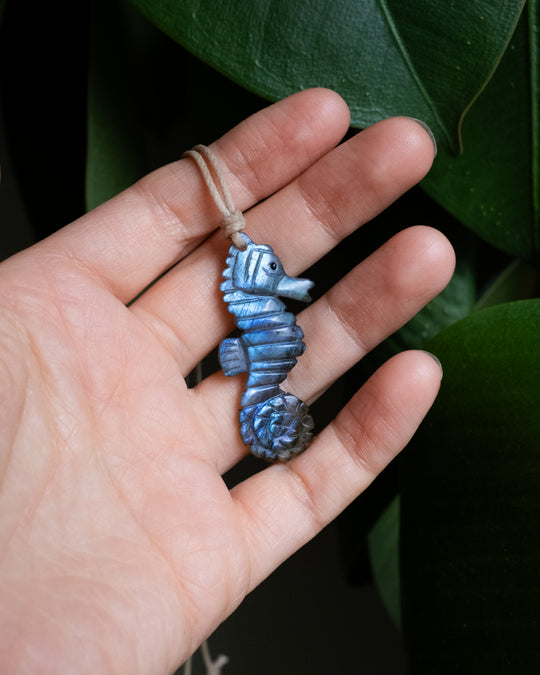 Labradorite Hand Carved Seahorse Necklace