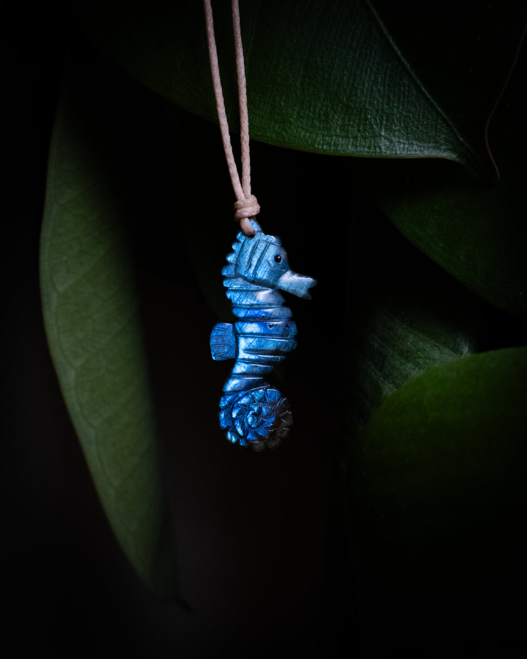 Labradorite Hand Carved Seahorse Necklace