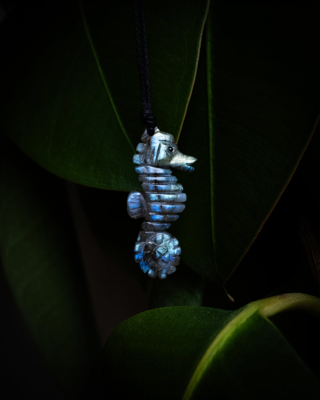 Labradorite Hand Carved Seahorse Necklace