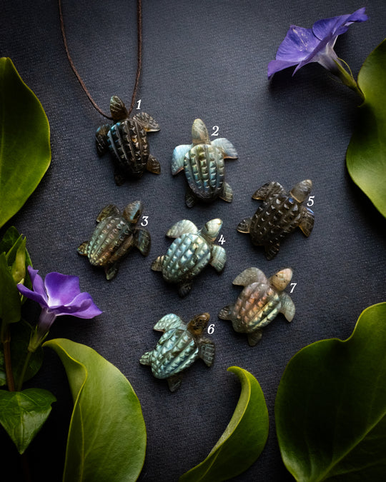 Small Labradorite Hand Carved Leatherback Sea Turtle Necklace - The Healing Pear