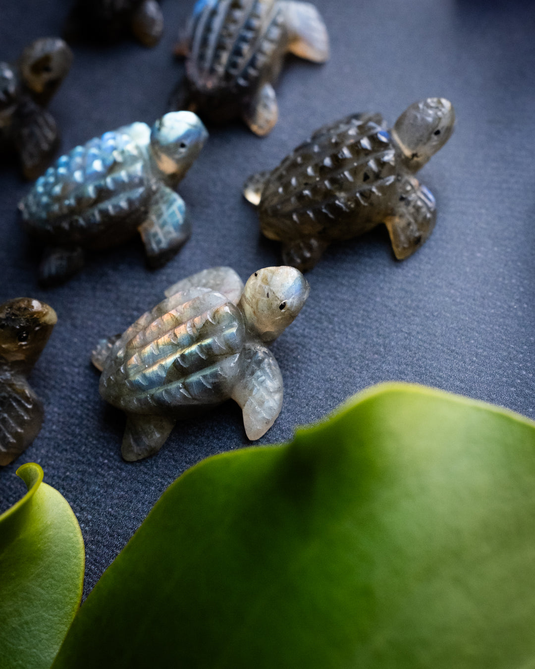 Small Labradorite Hand Carved Leatherback Sea Turtle Necklace - The Healing Pear