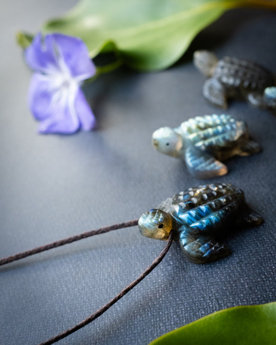 Small Labradorite Hand Carved Leatherback Sea Turtle Necklace - The Healing Pear