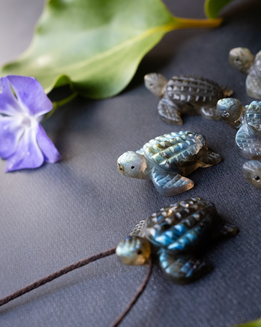 Small Labradorite Hand Carved Leatherback Sea Turtle Necklace - The Healing Pear