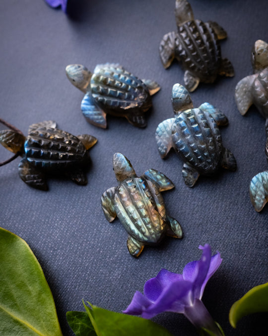 Small Labradorite Hand Carved Leatherback Sea Turtle Necklace - The Healing Pear