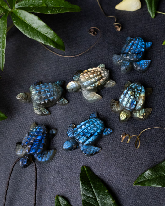 Small Labradorite Hand Carved Leatherback Sea Turtle Necklace