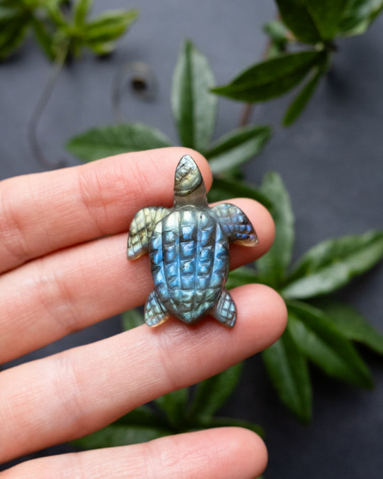 Small Labradorite Hand Carved Leatherback Sea Turtle Necklace