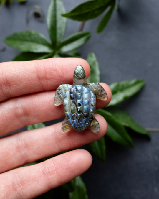 Small Labradorite Hand Carved Leatherback Sea Turtle Necklace