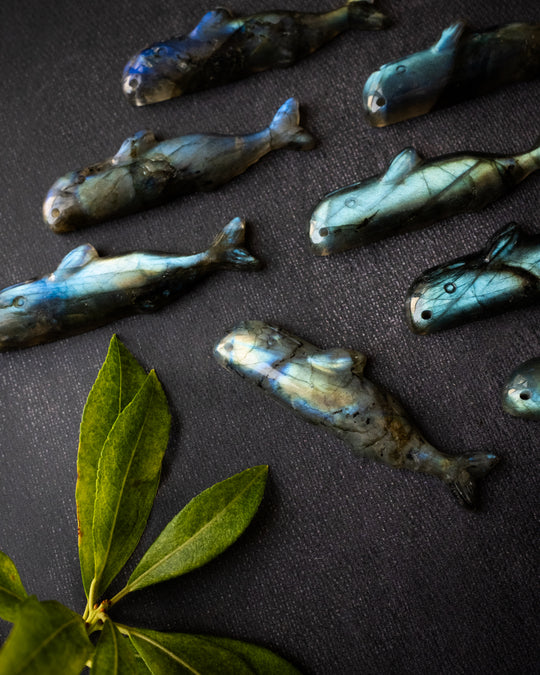 Labradorite Hand Carved Sperm Whale Necklace