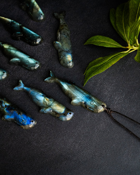 Labradorite Hand Carved Sperm Whale Necklace