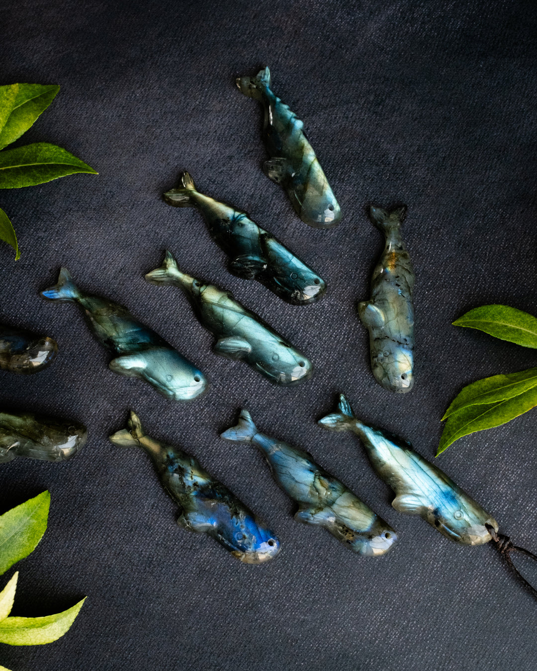 Labradorite Hand Carved Sperm Whale Necklace