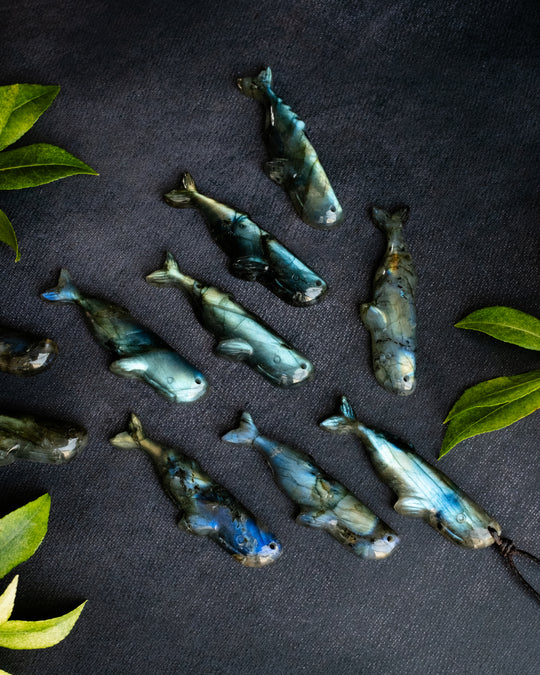 Labradorite Hand Carved Sperm Whale Necklace