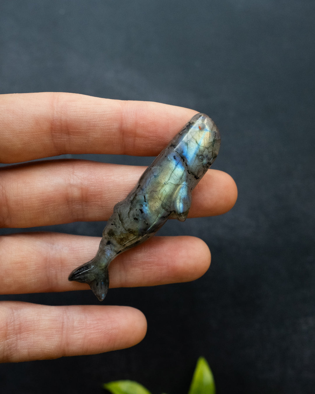 Labradorite Hand Carved Sperm Whale Necklace