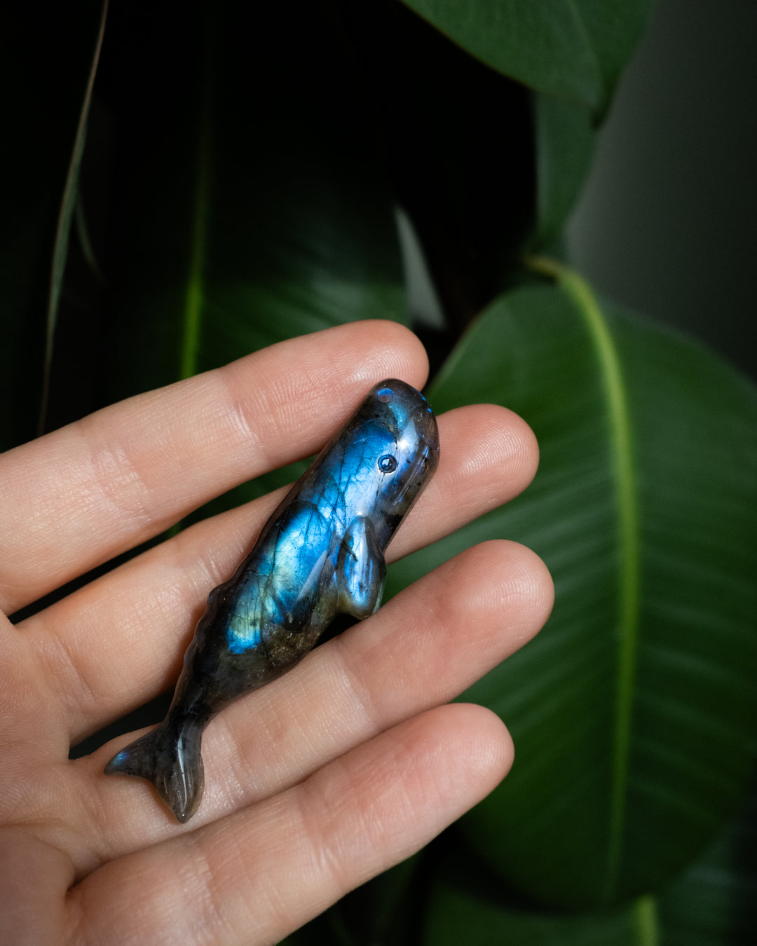 Labradorite Hand Carved Sperm Whale Necklace