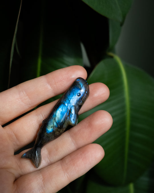 Labradorite Hand Carved Sperm Whale Necklace