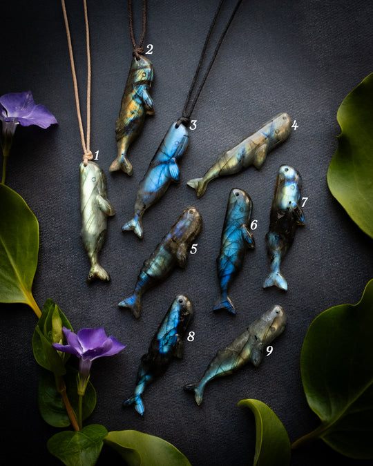 Labradorite Hand Carved Sperm Whale Necklace - The Healing Pear