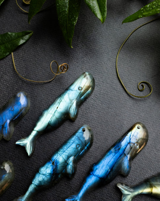 Labradorite Hand Carved Sperm Whale Necklace