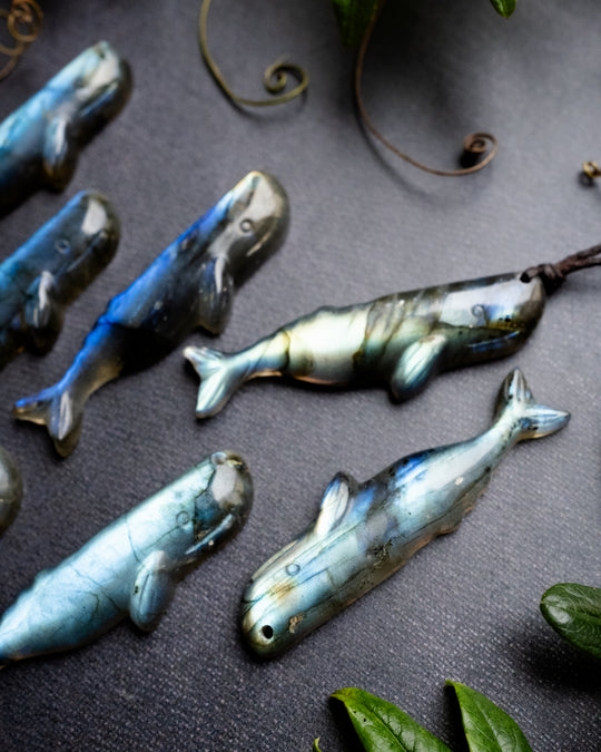 Labradorite Hand Carved Sperm Whale Necklace
