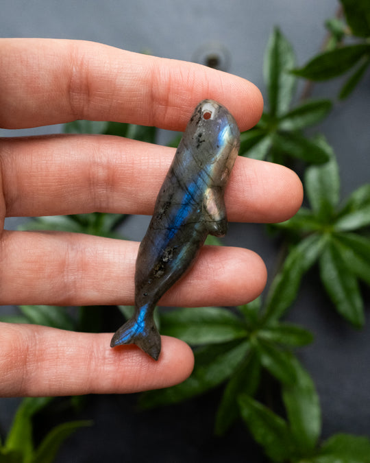 Labradorite Hand Carved Sperm Whale Necklace