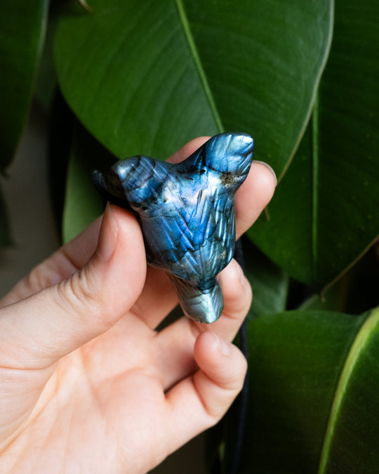 Large Labradorite Hand Carved Wolf Necklace