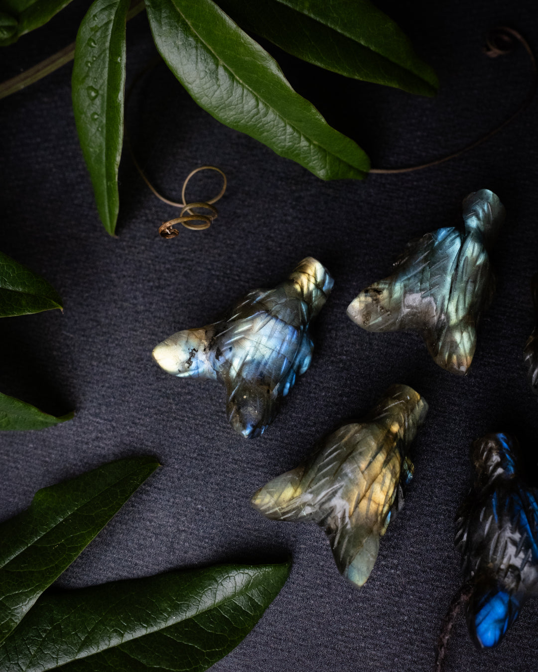 Small Labradorite Hand Carved Wolf Necklace