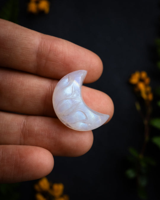 Rainbow Moonstone Hand Carved Lotus Moon Necklace - The Healing Pear