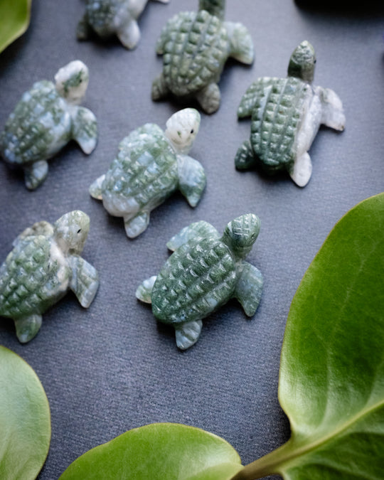 Small Moss Agate Hand Carved Leatherback Sea Turtle Necklace - The Healing Pear