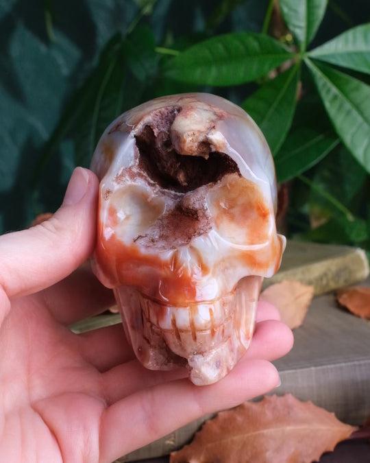Carnelian Druzy Ornamental Hand Carved Skull 605g - The Healing Pear