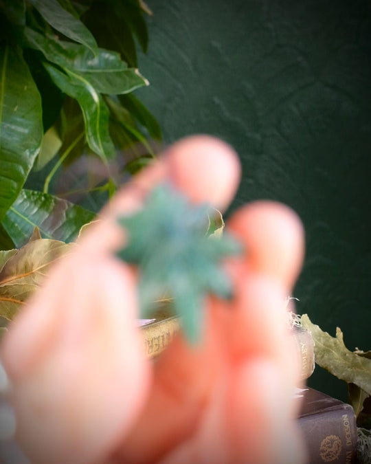 African Jade Hand Carved Hemp Leaf Necklace