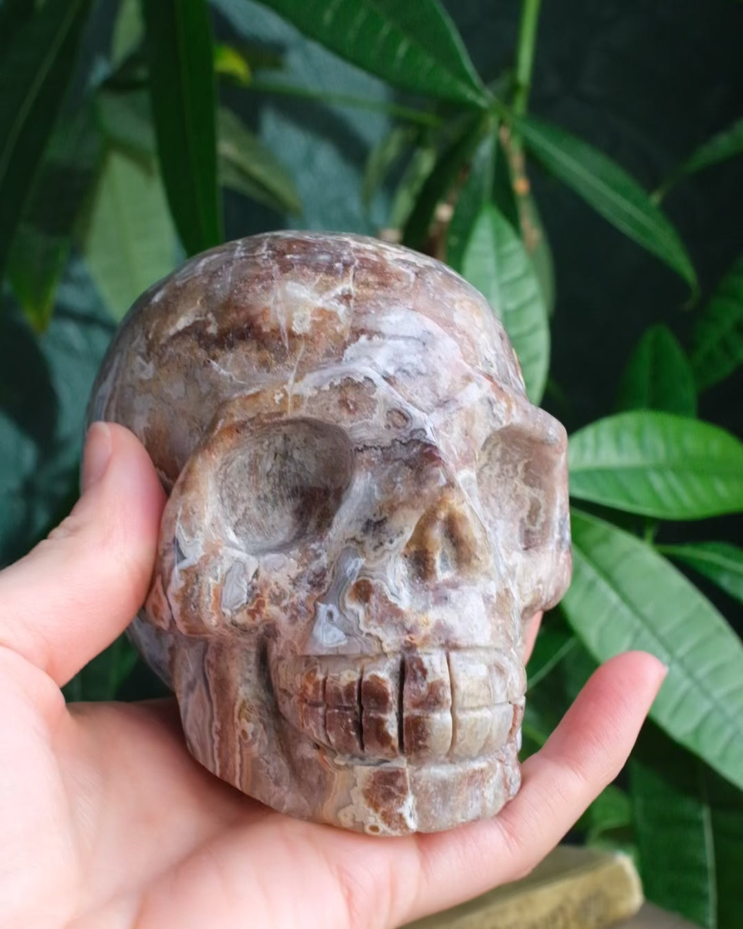 Crazy Lace Agate Druzy Ornamental Hand Carved Skull 888g - The Healing Pear