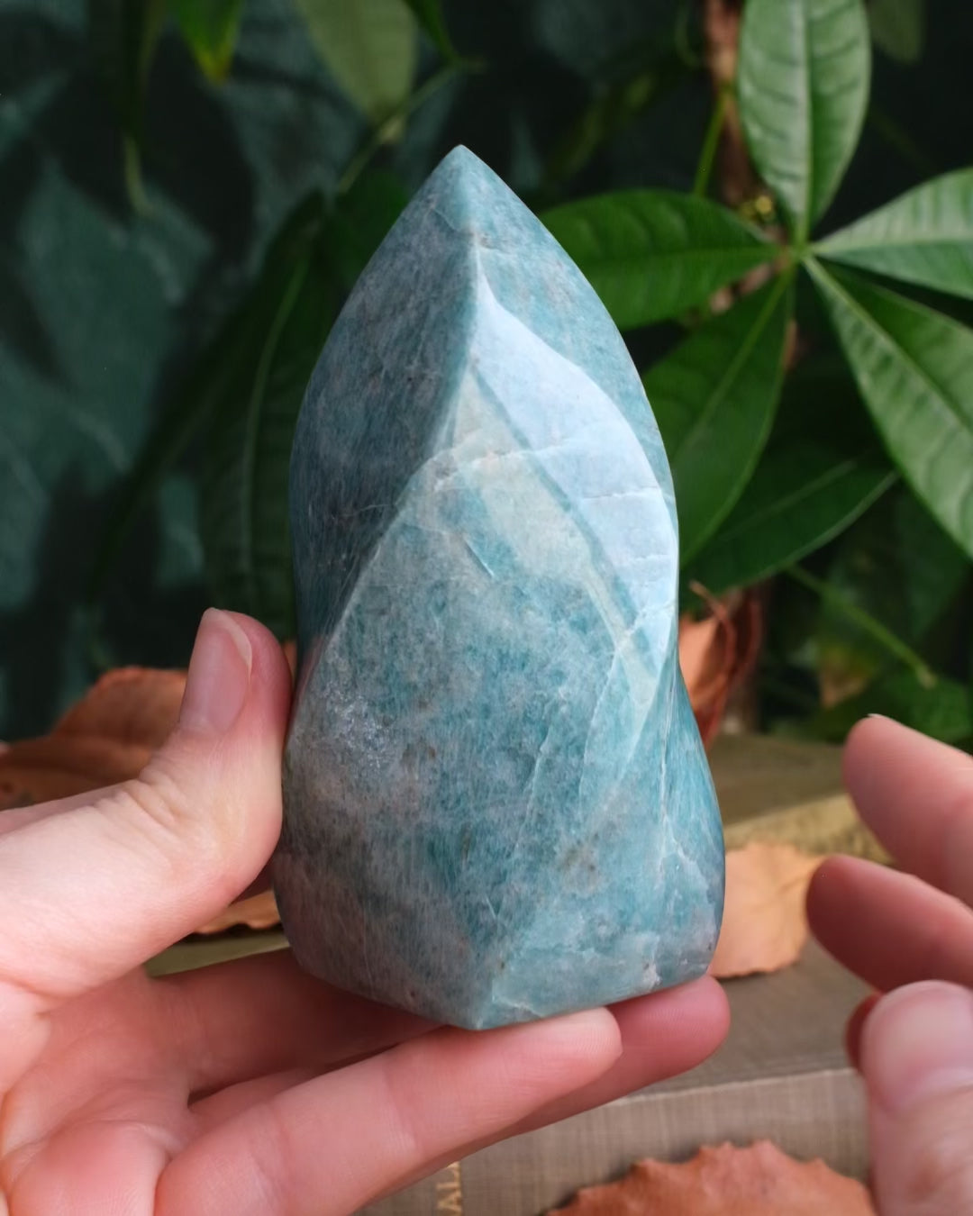 Amazonite Carved Flame 287g - The Healing Pear