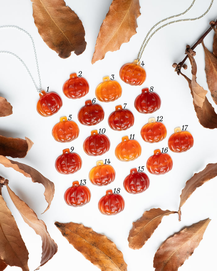 Carnelian Hand Carved Pumpkin Necklace - The Healing Pear