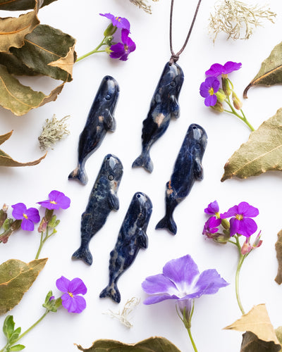 Sodalite Hand Carved Sperm Whale Necklace