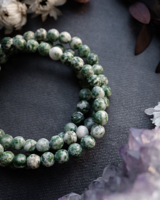 Tree Agate Round Bead Bracelet 6mm