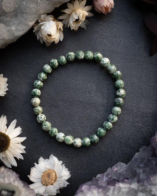 Tree Agate Round Bead Bracelet 6mm