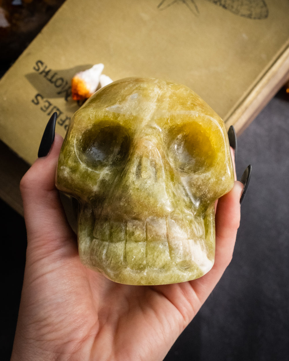Serpentine Ornamental Hand Carved Skull 986g - The Healing Pear