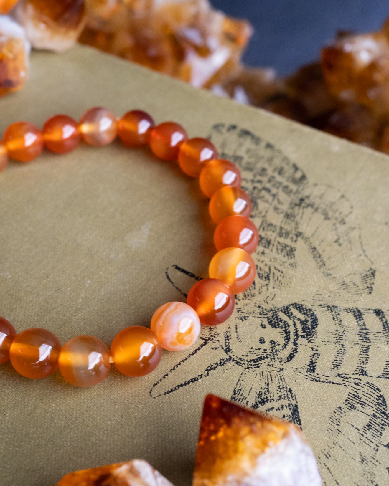 Carnelian Round Bead Bracelet - The Healing Pear