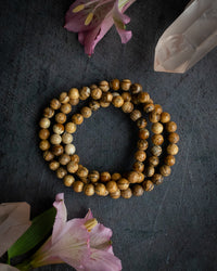 Picture Jasper jewellery